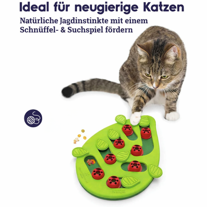 MindPaws - Unterforderung raubt deinem Vierbeiner die Lebensfreude