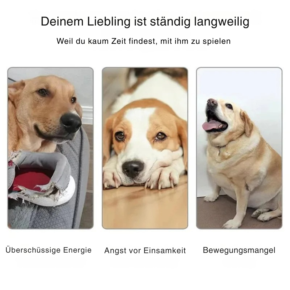 WuffWurf - Weil deine Fellnase mehr Freude verdient