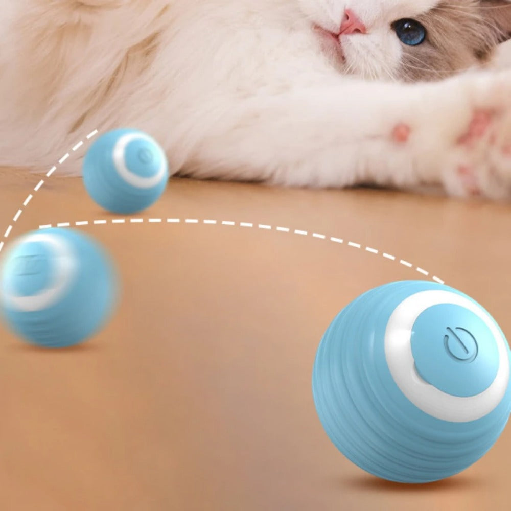 Katzenball Elektrisch 🐾 – Smarter Spaß für Katzen