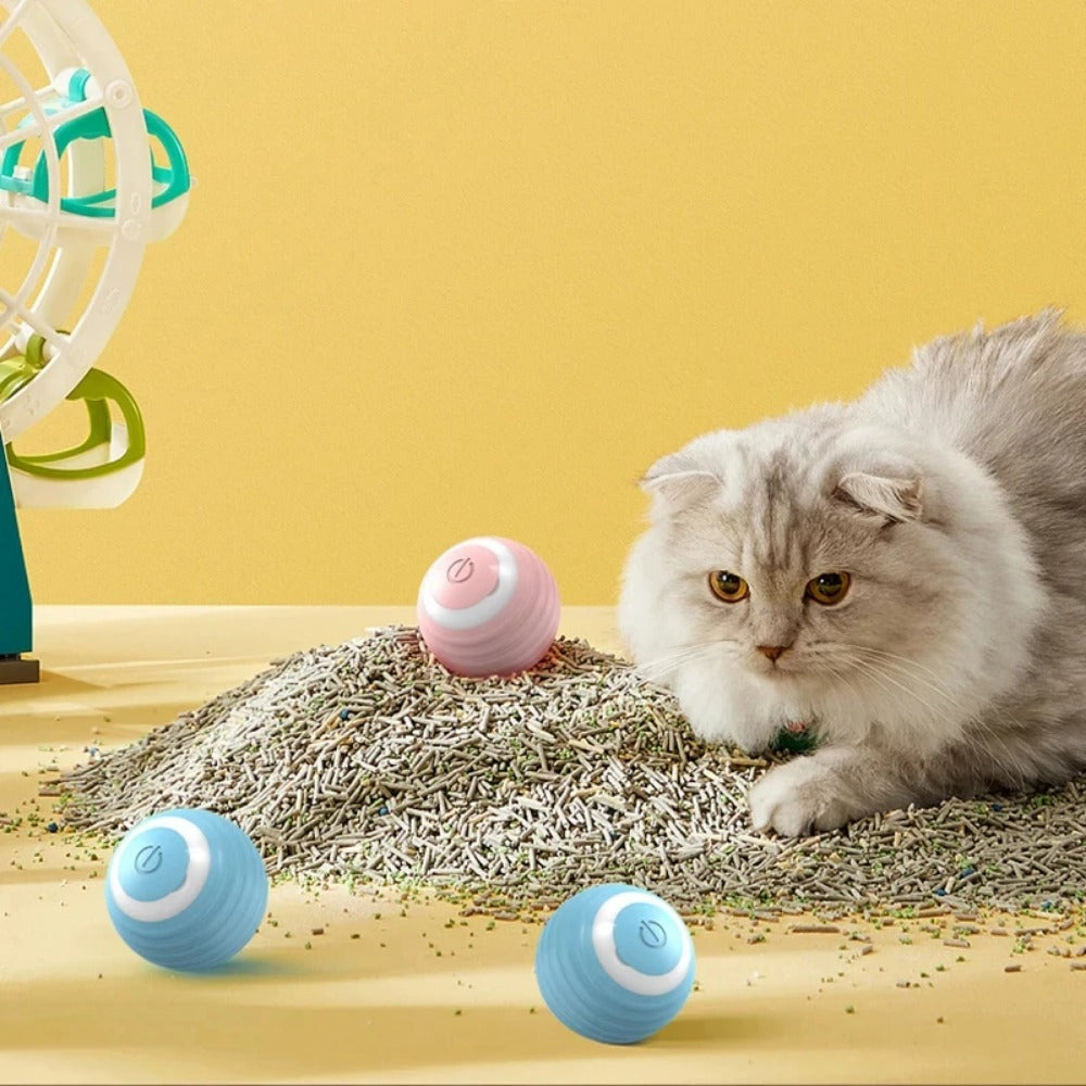 Katzenball Elektrisch 🐾 – Smarter Spaß für Katzen