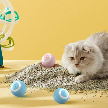 Katzenball Elektrisch 🐾 – Smarter Spaß für Katzen