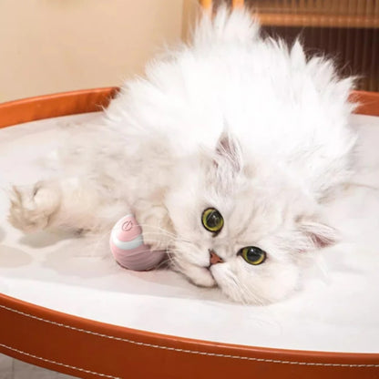 Katzenball Elektrisch 🐾 – Smarter Spaß für Katzen